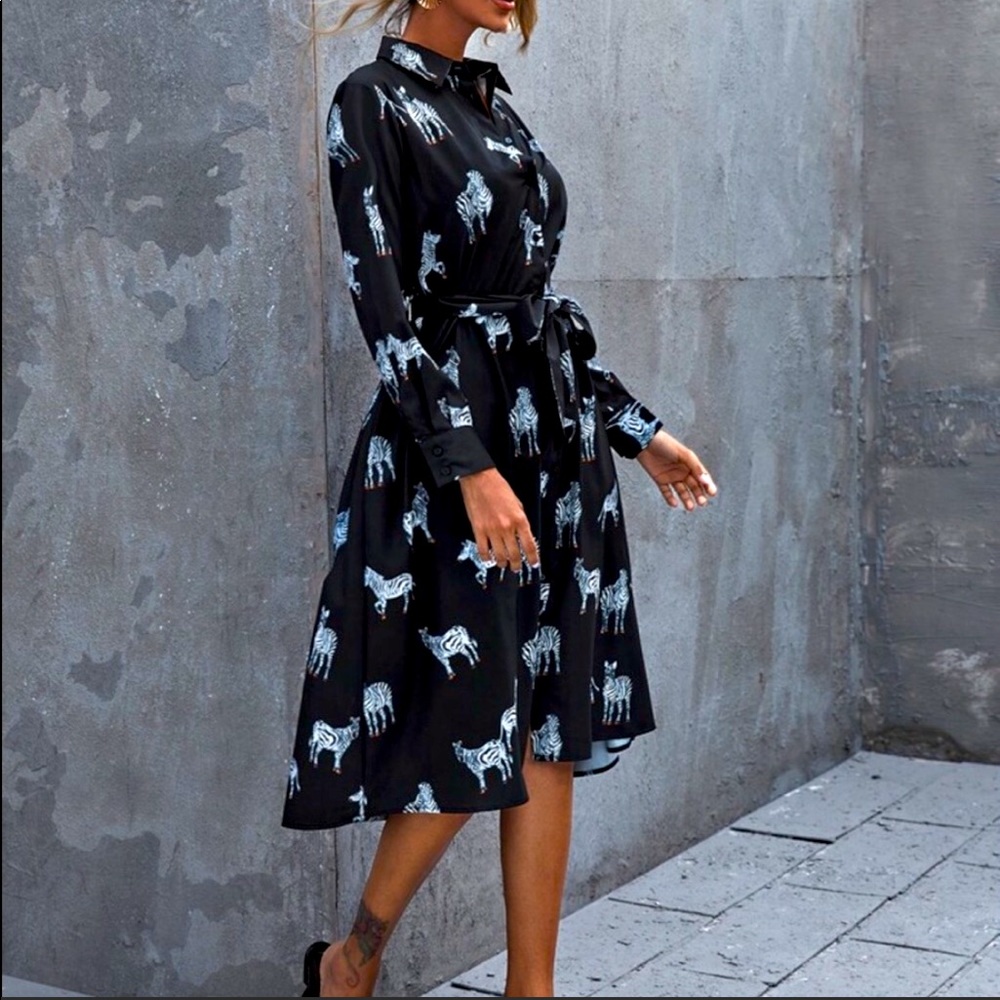 In Search Of Zara Zebra Print Dress with Tie in XS